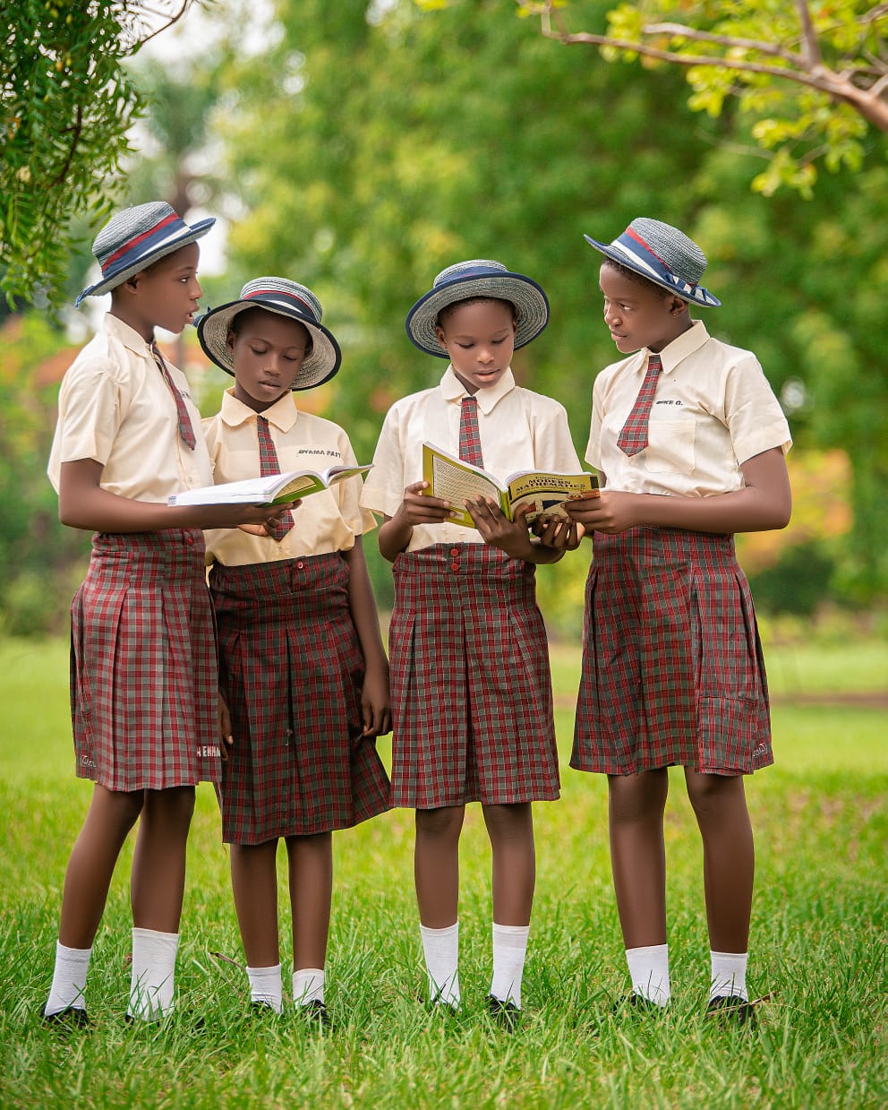 Students collaborating